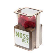 Набор с живым мхом MossBox Fire Red Cube - Набор с живым мхом MossBox Fire Red Cube