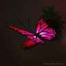 3D светильник &quot;Бабочка&quot; розовая - 61bA5d4Ev5L._SL1500_.jpg
